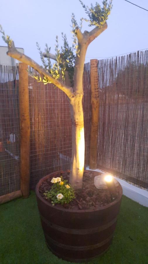 Sunrise Monsaraz Blue - Casa Com 2 Quartos Jardim Exterior foto